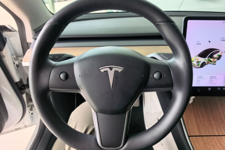 Tesla Model 3 2020 #11 Tesla Model 3 2020 immagine di auto #11