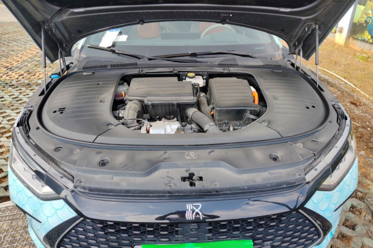 BYD Han 2024 car image #22