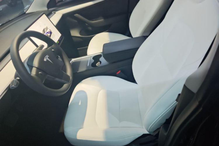 Tesla Model 3 2022 imagem de carro #15