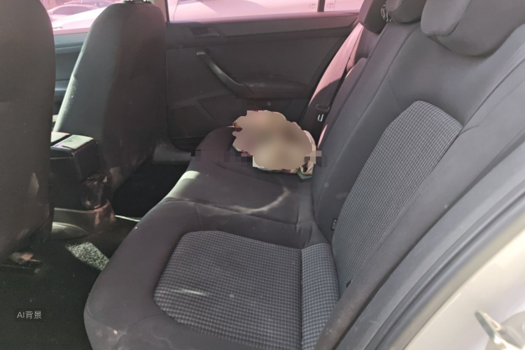 Volkswagen Santana 2017 car image #19