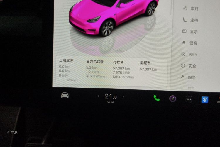 Tesla Model Y 2022 car image #14