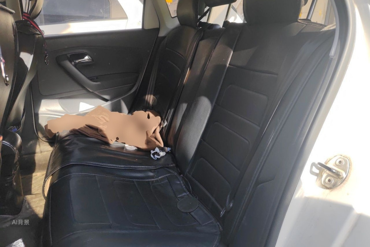 Volkswagen Polo 2019 car image #19