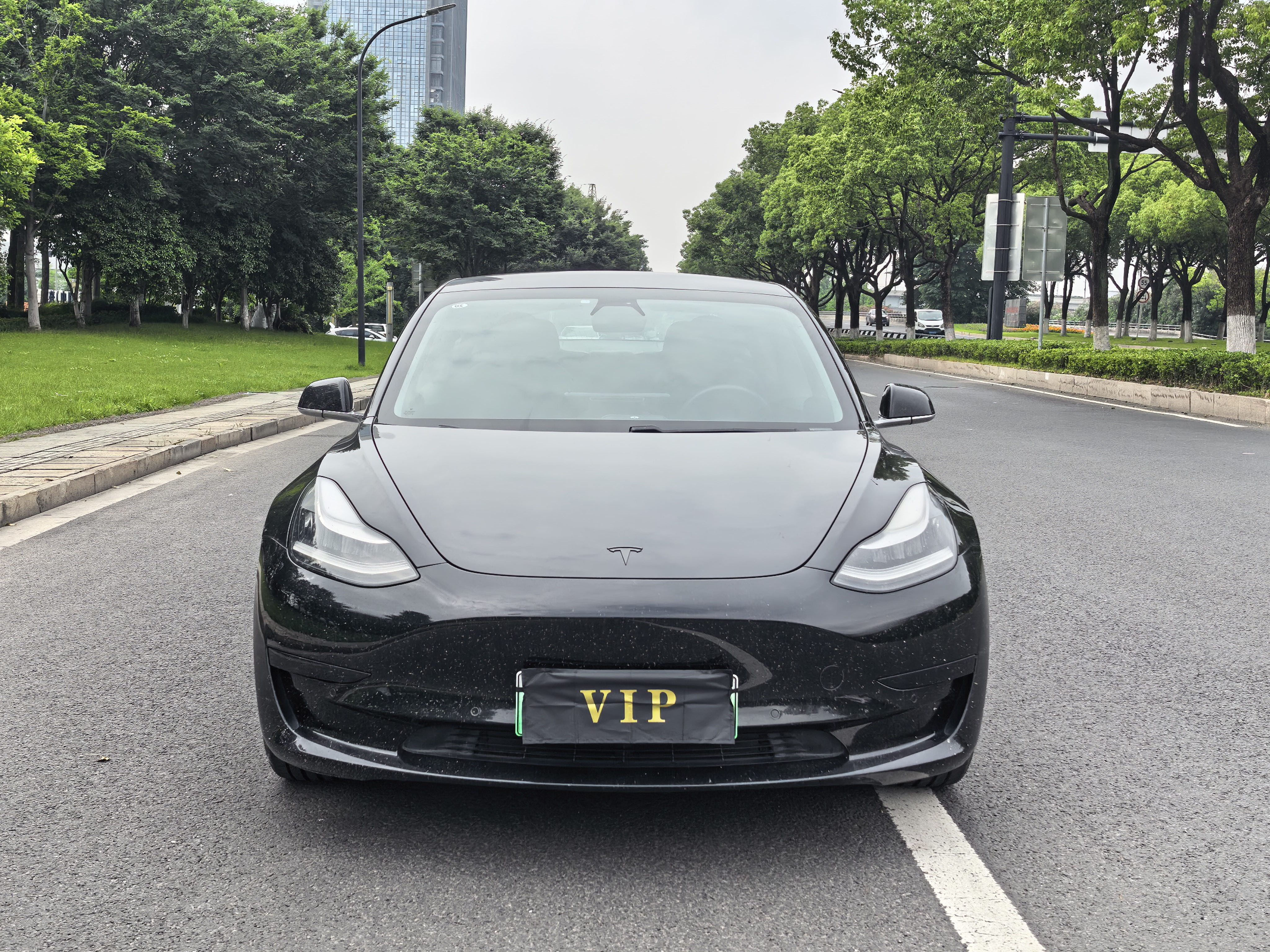 Tesla Model 3 2020 car image #3