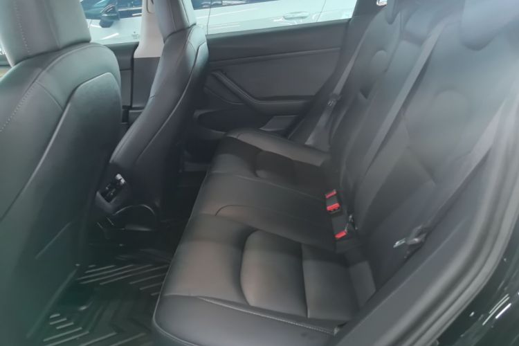 Tesla Model 3 2023 imagem de carro #17
