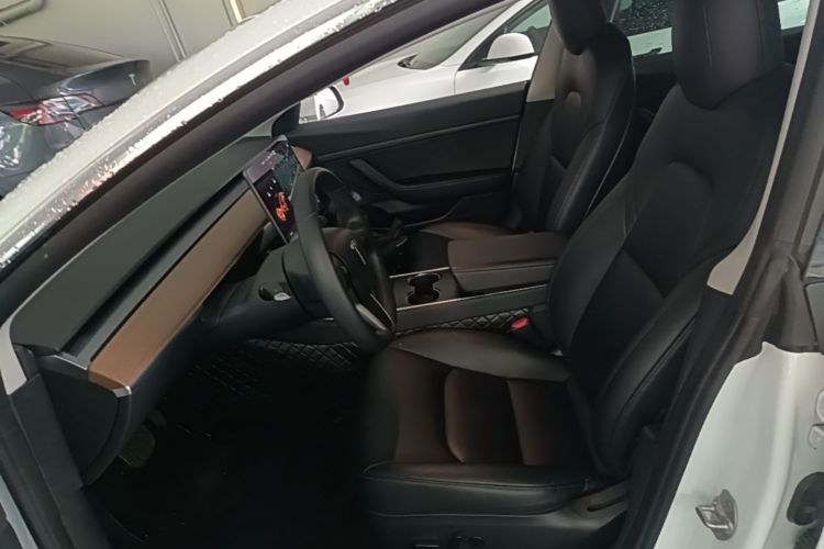 Tesla Model 3 2020 immagine di auto #15