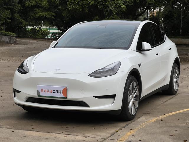 Tesla Model Y 2022 car image #29