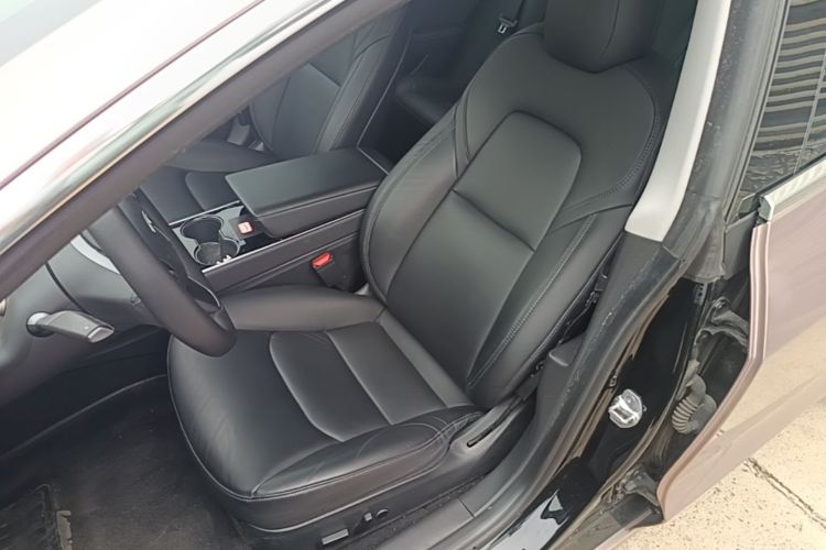 Tesla Model 3 2020 #15 Tesla Model 3 2020 car image #15