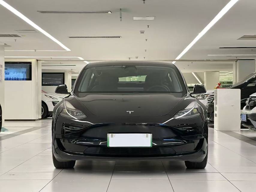 Tesla Model 3 2021 #9 Tesla Model 3 2021 car image #9