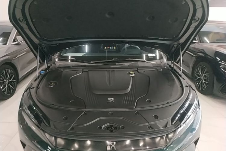 BYD Han 2022 #20 BYD Han 2022 immagine di auto #20