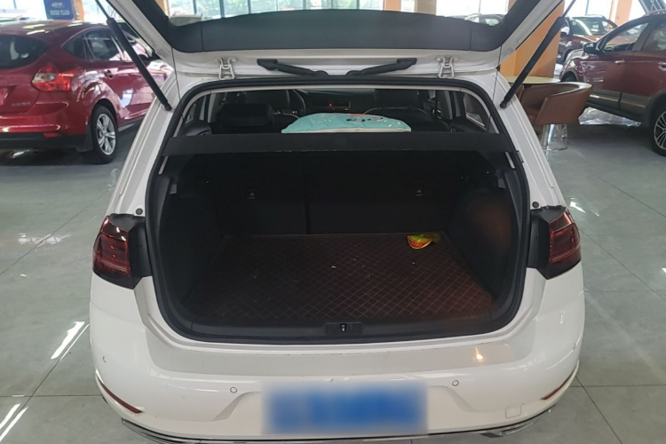 Volkswagen Golf 2019 #19 Volkswagen Golf 2019 car image #19