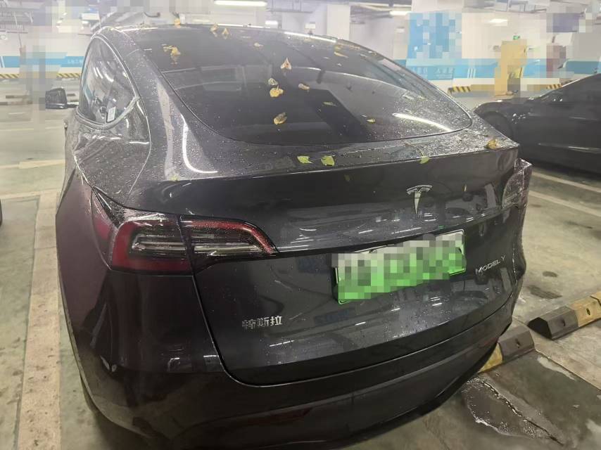 Tesla Model Y 2024 immagine di auto #3
