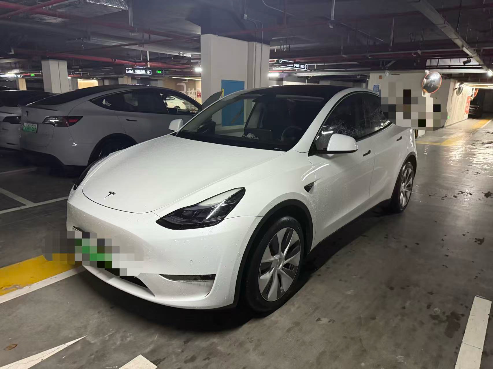 Tesla Model Y 2023 immagine di auto 