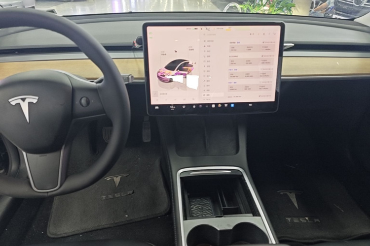 Tesla Model 3 2022 #10 Tesla Model 3 2022 car image #10