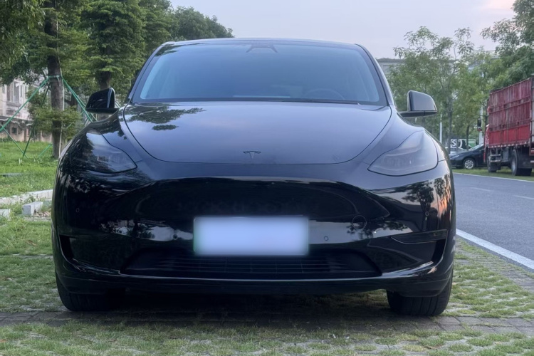 Tesla Model Y 2021 #3 Tesla Model Y 2021 car image #3