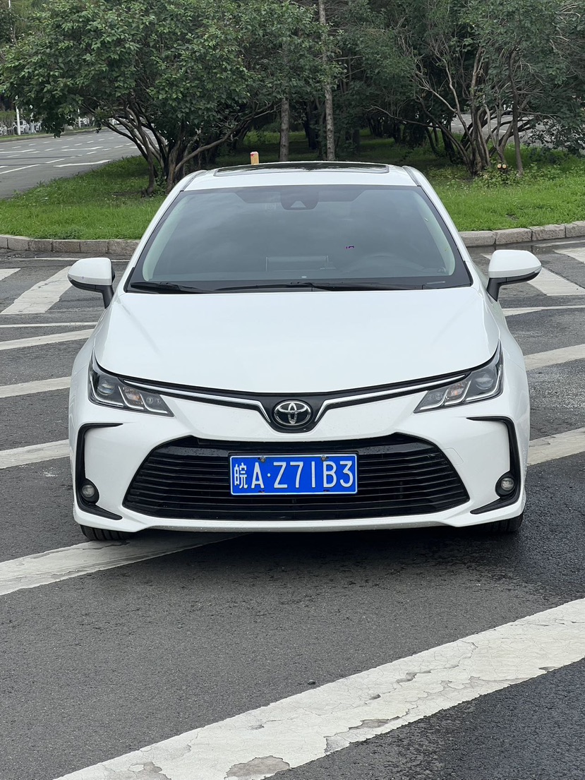 Toyota Corolla 2022 #6 Toyota Corolla 2022 car image #6