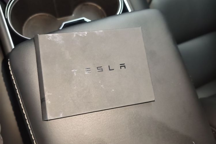 Tesla Model 3 2020 car image #14