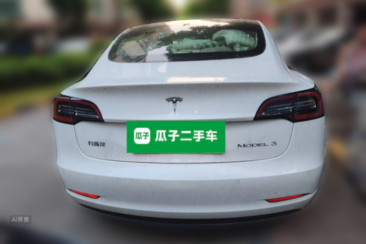 Tesla Model 3 2020 car image #6