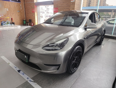 Tesla Model Y 2022 car image 