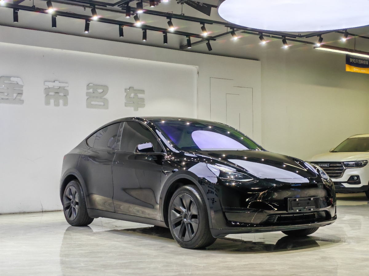 Tesla Model Y 2024 car image #3