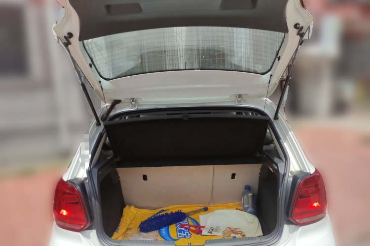 Volkswagen Polo 2017 car image #17