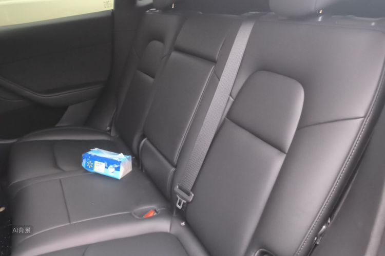 Tesla Model Y 2024 car image #19