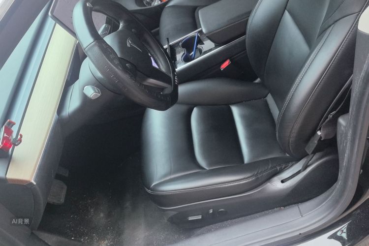 Tesla Model 3 2020 car image #17