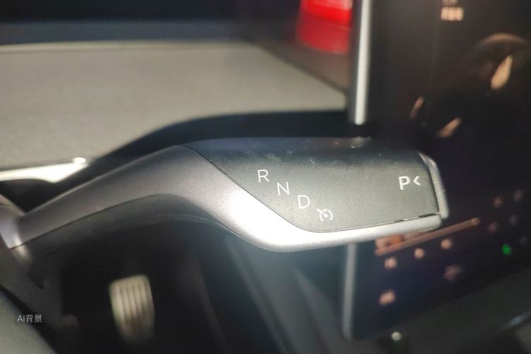 Tesla Model Y 2023 #16 Tesla Model Y 2023 car image #16