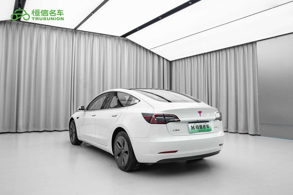 Tesla Model 3 2020 car image #4