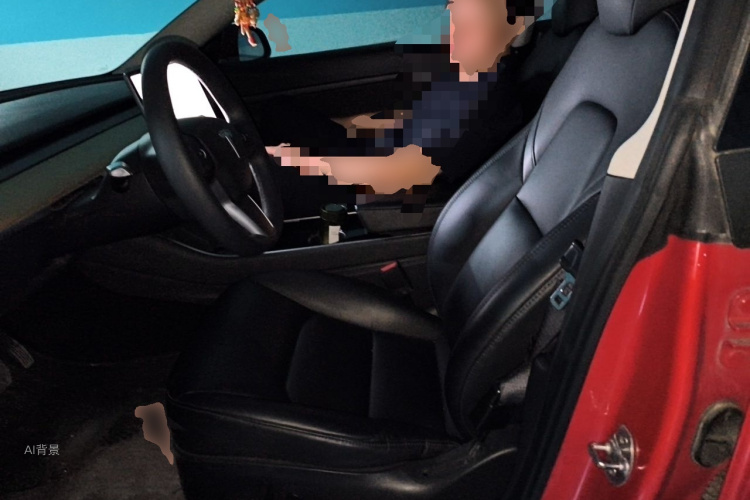 Tesla Model 3 2020 #17 Tesla Model 3 2020 car image #17