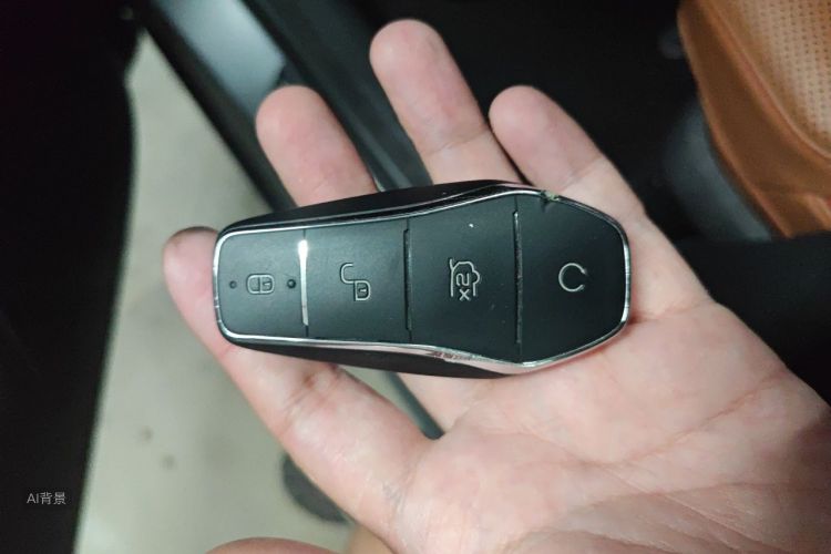 BYD Han 2022 #10 BYD Han 2022 immagine di auto #10