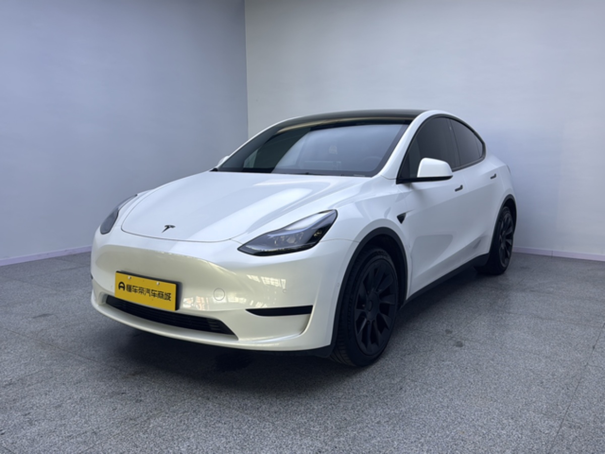 Tesla Model Y 2022 Tesla Model Y 2022 car image