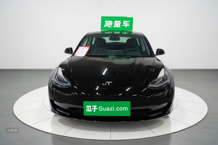 Tesla Model 3 2022 #3 Tesla Model 3 2022 car image #3