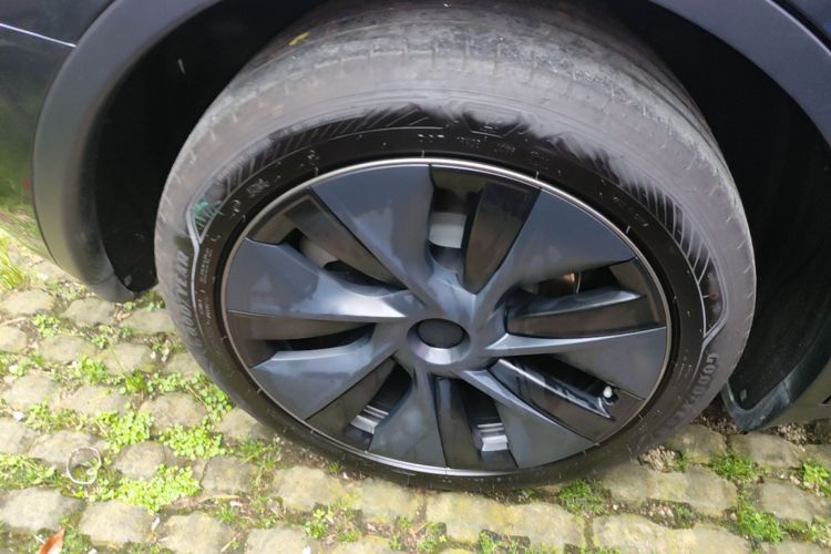 Tesla Model Y 2025 car image #10