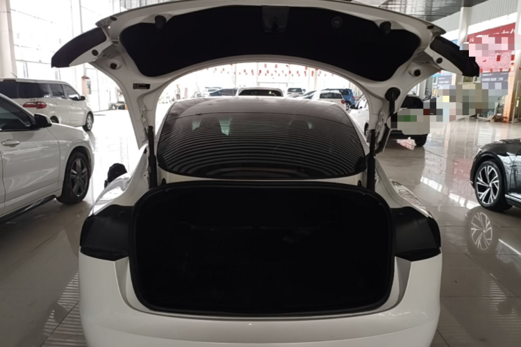 Tesla Model 3 2025 immagine di auto #19