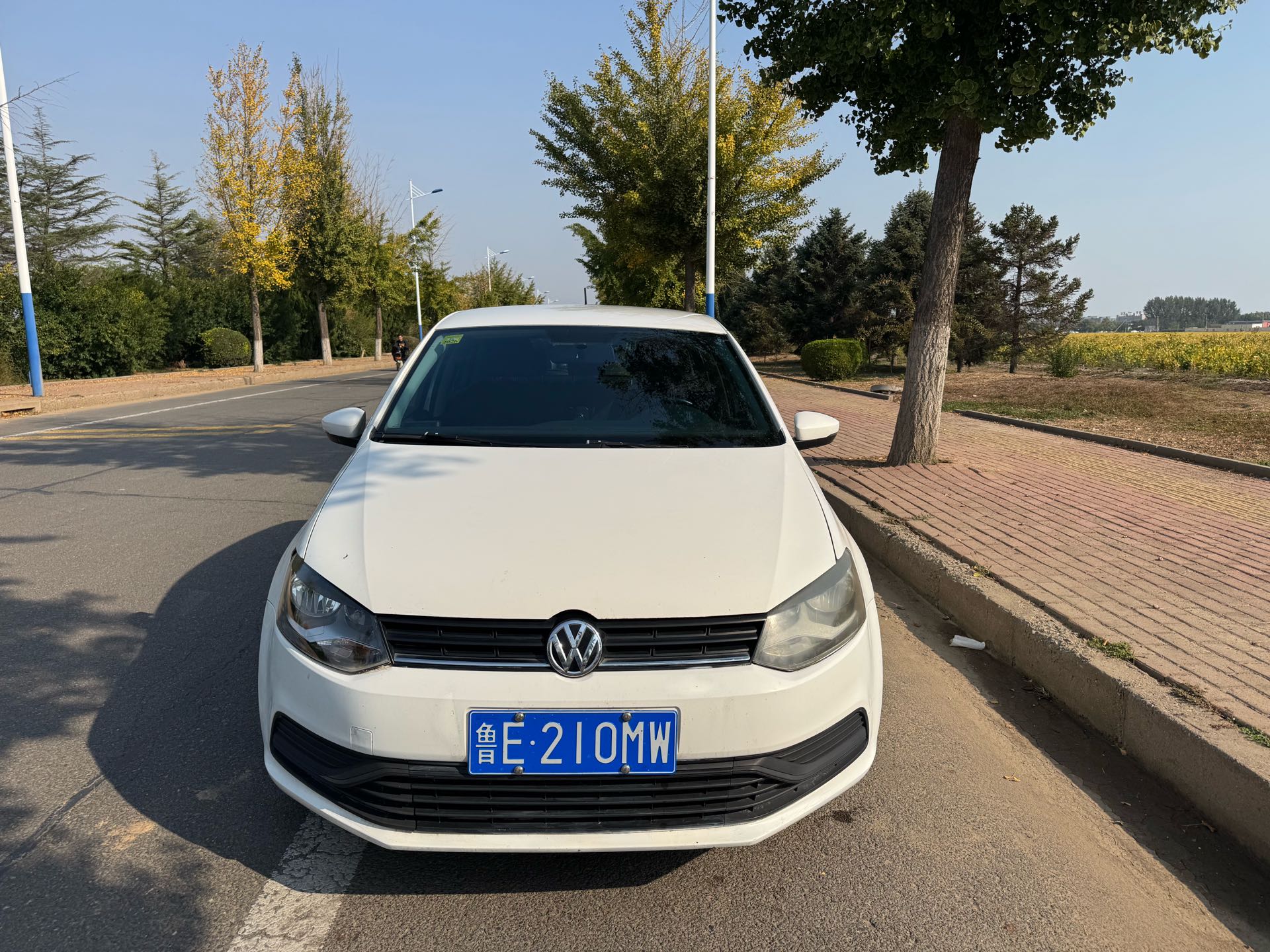 Volkswagen Polo 2018 car image #2