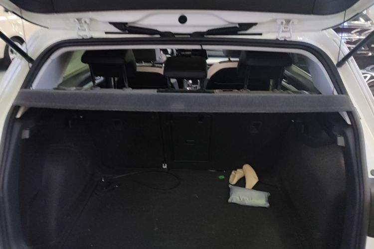 Volkswagen Golf 2021 car image #19