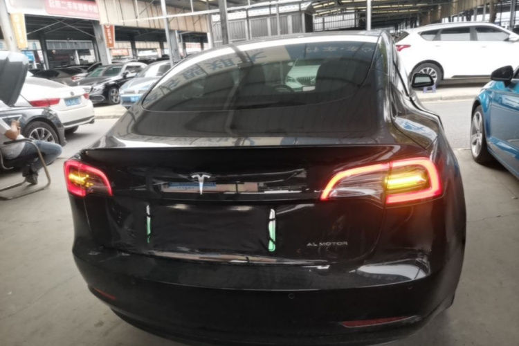 Tesla Model 3 2021 car image #6
