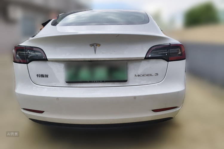 Tesla Model 3 2020 car image #6