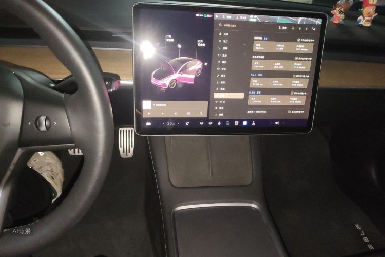 Tesla Model 3 2021 car image #15