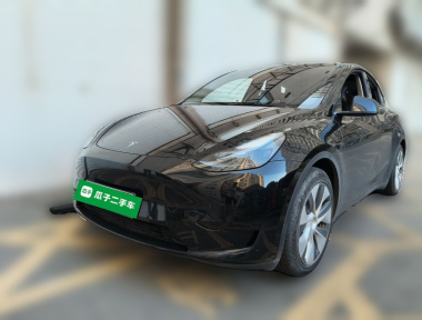 Tesla Model Y 2022 car image 