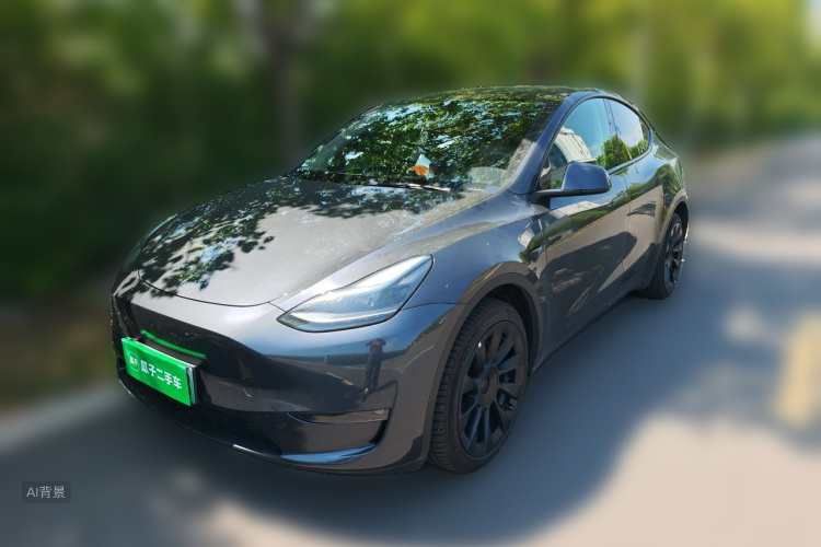Tesla Model Y 2024 car image #2