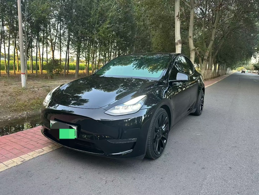 Tesla Model Y 2022 car image 