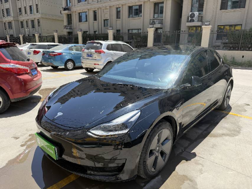 Tesla Model 3 2021 Tesla Model 3 2021 immagine di auto