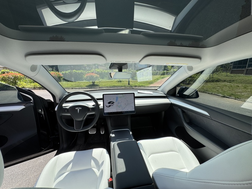Tesla Model Y 2021 car image #6