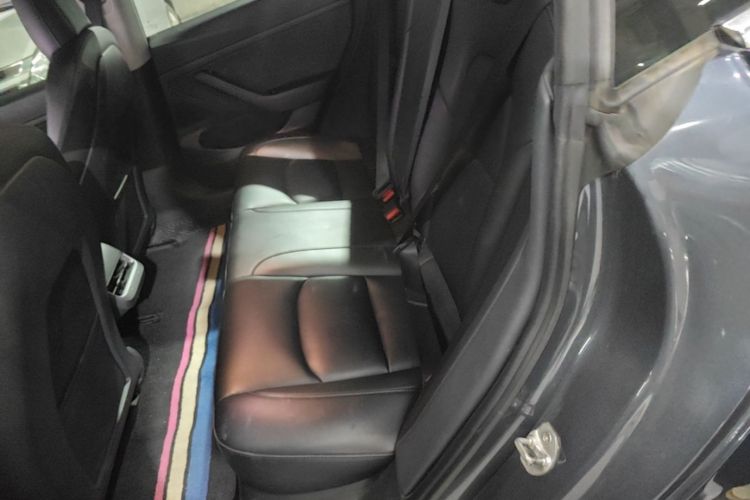 Tesla Model 3 2020 car image #17