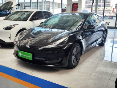 Tesla Model 3 2022 car image 