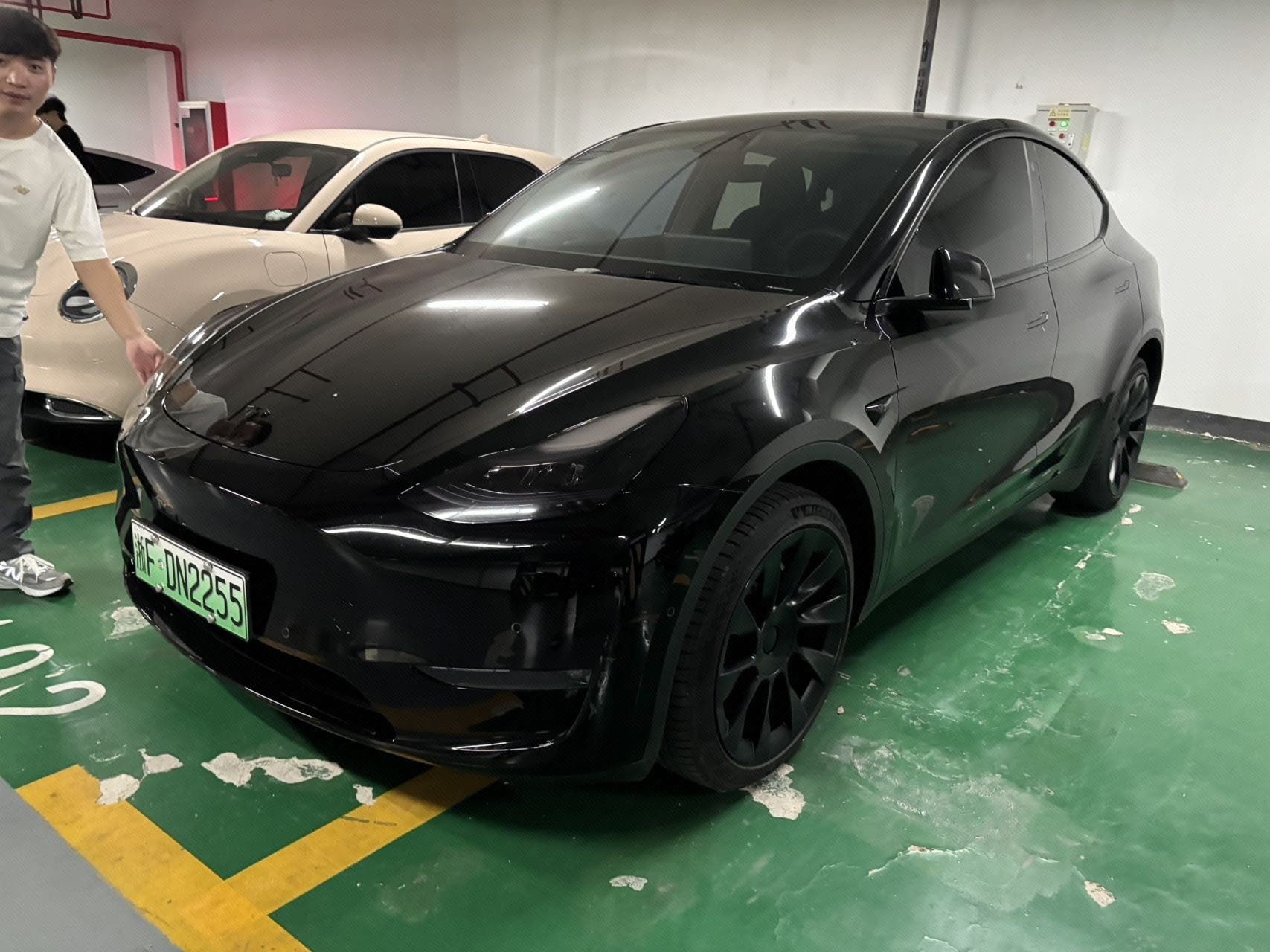 Tesla Model Y 2023 car image 
