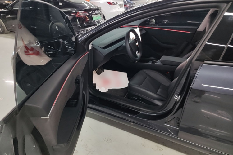 Tesla Model 3 2024 car image #16