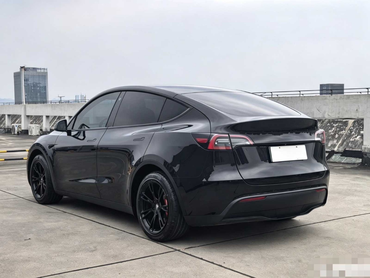 Tesla Model Y 2022 #5 Tesla Model Y 2022 car image #5