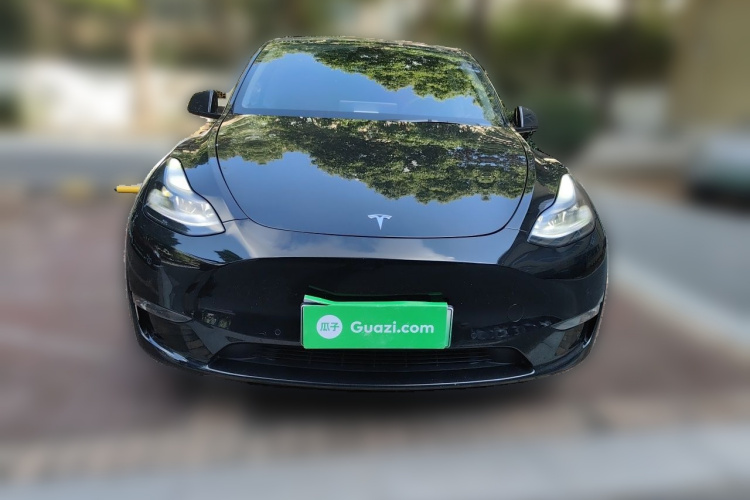 Tesla Model Y 2021 #3 Tesla Model Y 2021 car image #3